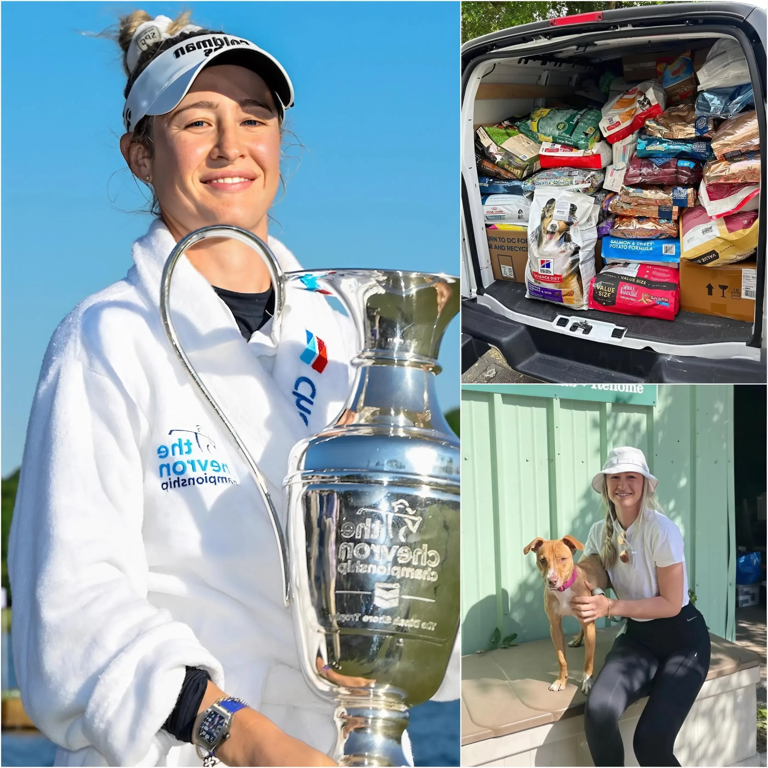 Cover Image for 🌸⛳️ THE IMAGE THAT MELTED THE WORLD! 😲 The golf world and fans around the world are moved by the quiet but compassionate action of Nelly Korda – the queen of the golf course with beauty, talent and a heart of gold. Without fanfare or fuss, she quietly supported an animal rescue camp for many months, bringing hope to hundreds of little creatures. 🐶That simple action makes fans unable to stop loving her more than ever… All the touching details in the comment section 👇👇