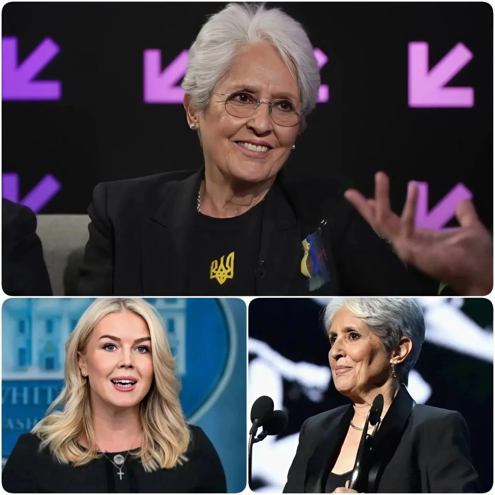 Cover Image for “I DON’T CARE WHAT YOU THINK OF ME.” — Joan Baez Silences Host In Viral Live TV Moment